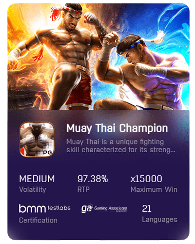 Muay Thai Champion